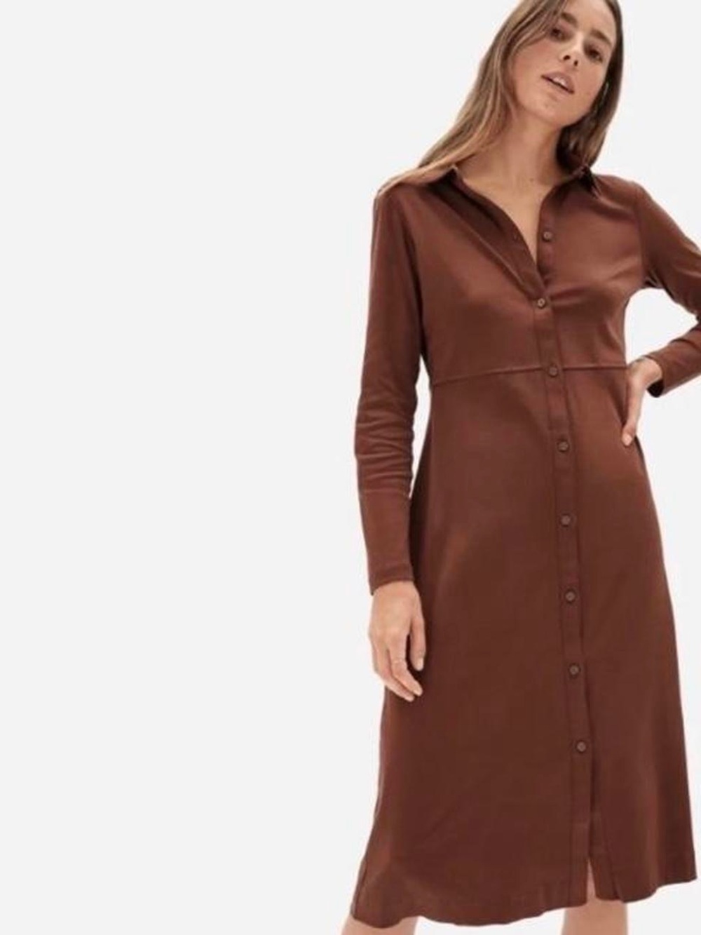 Everlane Luxe Cotton Long-Sleeve Button-Front Shirt Dress